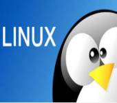 Linux Yaz Kampı
